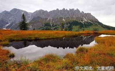 处世社交必修课 来此教你站稳脚