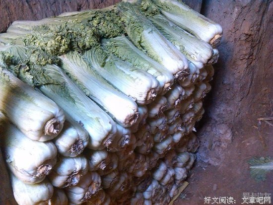农夫菜窖塌陷，意外发现东晋古墓，为了保护古墓在上面种30年菜
