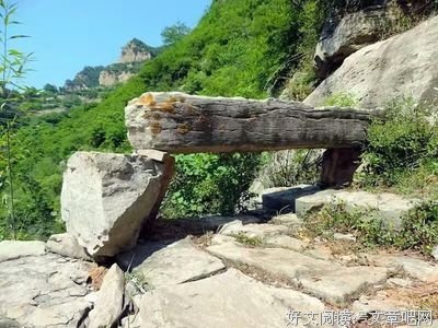 它才是高血压的克星！李时珍都说每天吃点能除一切病疾！