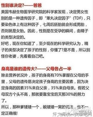 爸爸、妈妈谁的基因决定了孩子的智商和相貌？赶紧看看！