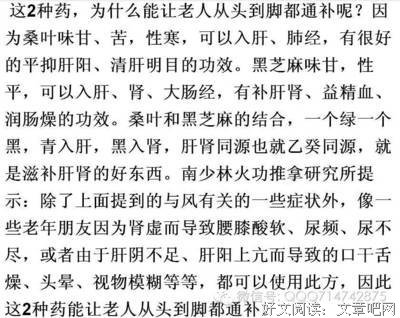 桑叶+黑芝麻通补