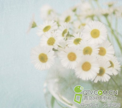 与别人斗气，不如自己争气（..马德..）