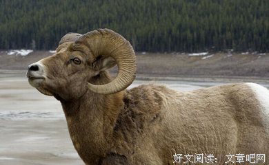 一个简短的故事，却看穿了很多人