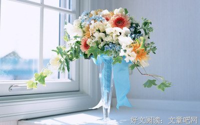 鲜花美女好心情