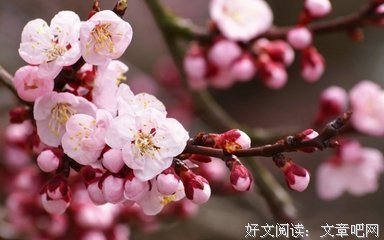 好文好句，太精辟了！