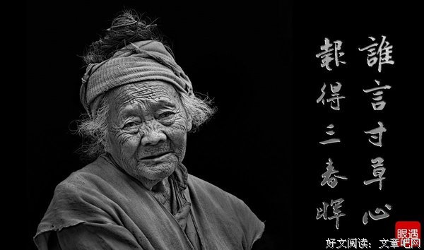 父母在，人生即有来处；父母去，人生只剩归途