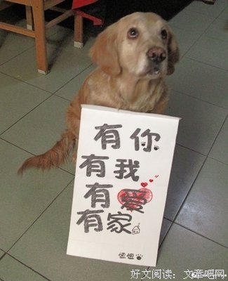 对生命的尊重