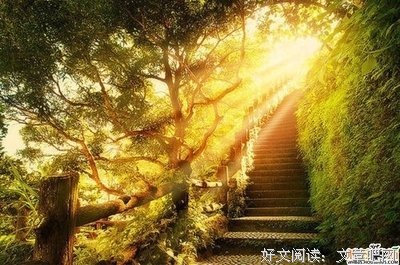 生命有裂缝，阳光才照得进来