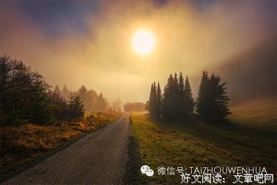 人生，淡而久香，不争，不俗