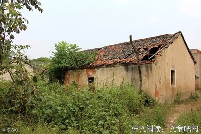 30年前农村的记忆