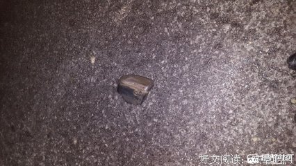 致管理者