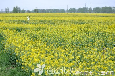  『 °墨蕴良辰·春花为媒』