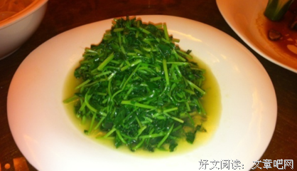 教你种豆苗吃豆苗
