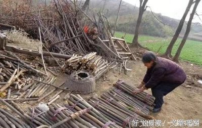 儿女五不怨，父母七不责，才是关系和睦家庭的标准