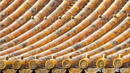 为什么没有鸟敢在故宫上拉屎？馆长道出实情，不是迷信