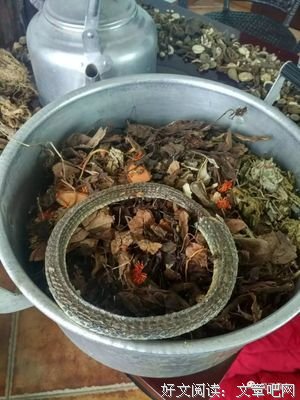脑血栓秘方