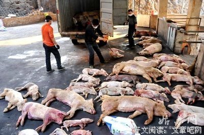猪肉各部位吃法宝典