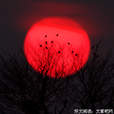 自古人生最忌满：半智半愚半圣贤，半亲半爱半苦乐！