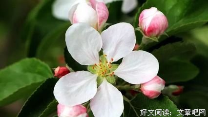 一辈子最开心的活法