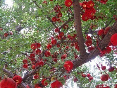 许一世快乐，只因红尘有你（亲情篇）