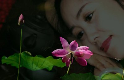 荷语