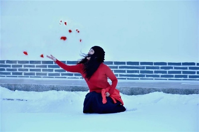 红颜若雪开成梅