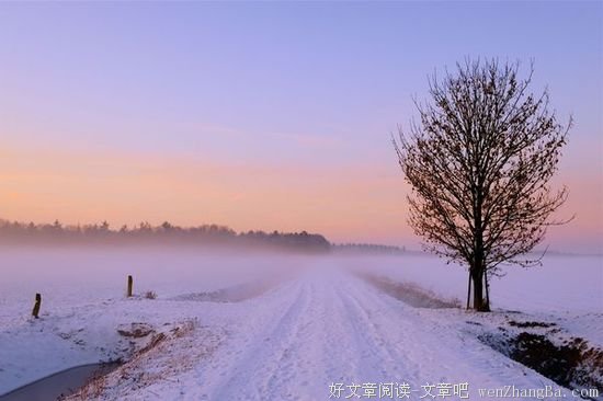雪，你听见了吗