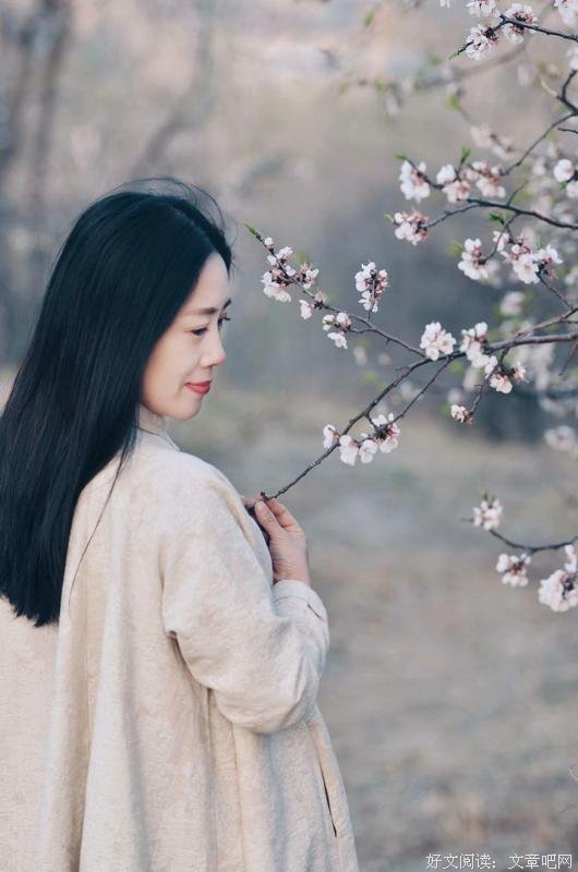 杏林春畔