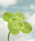多么现实的字句，说的你没话说