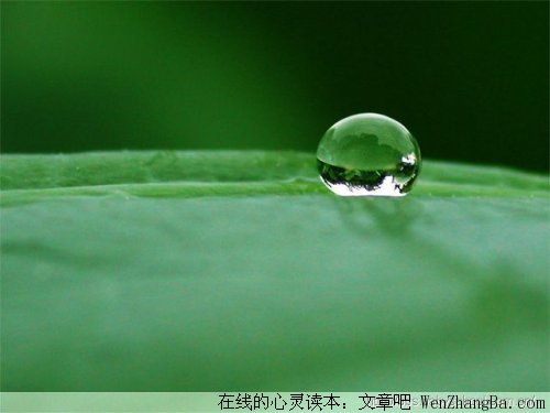 影响女人一生的7种资本