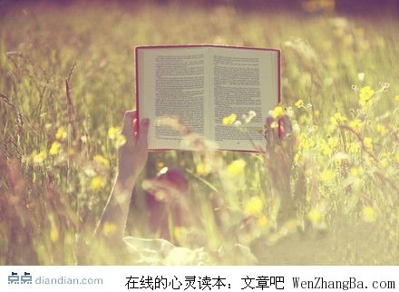 青春是打开了就合不上的书
