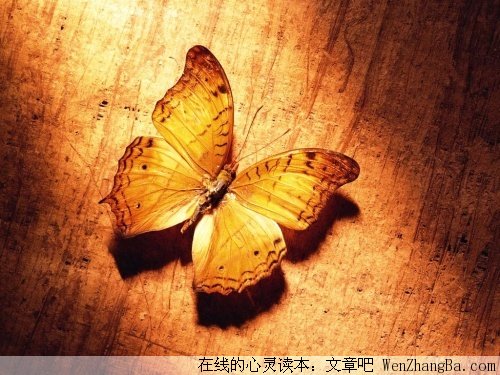 爱，你为什么存在