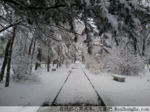 一个人，应该这样过