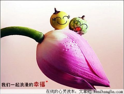 珍惜曾经的美好
