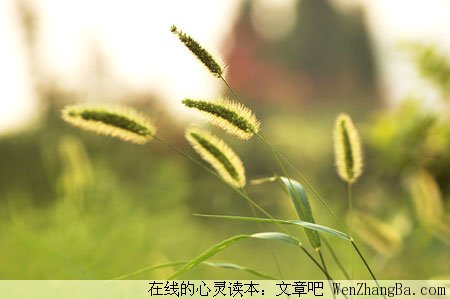 小细节也有大学问