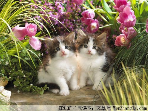 小小的句子，大大的道理