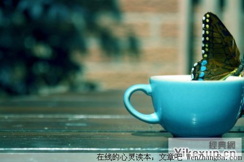 唯美的心情语录，总有一句适合现在的你