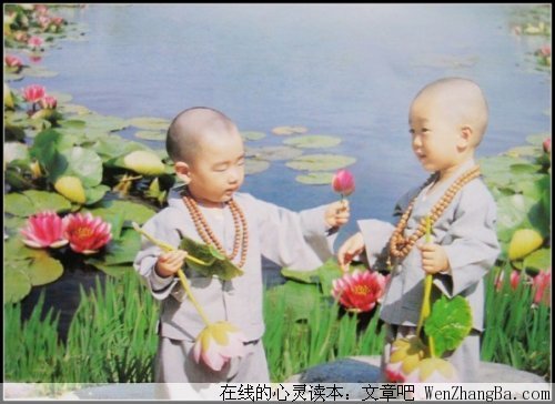 你是聪明人吗？