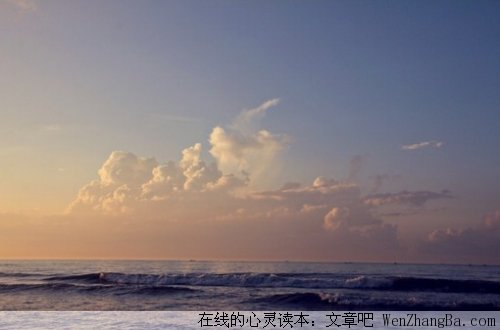 盗者之心