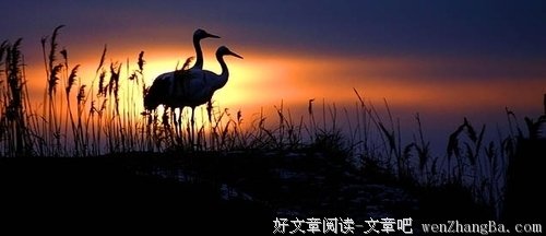 千万不要顺其自然