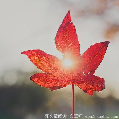 不是路已走到了尽头，而是该转弯了