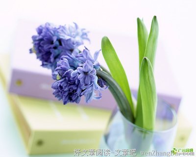 人生做好这十点，你会过的很快乐！