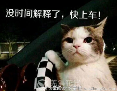 趁着年轻，别爱太早，先看看这些话吧！