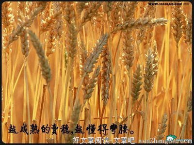 一些话，一些短哲理