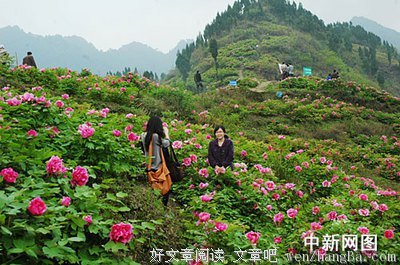 最全的《胡金玉博客》名句欣赏
