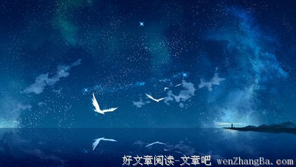 东瀛一一樱花在飘香