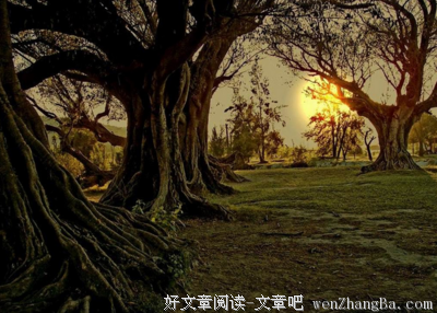 关于犹豫名言名句