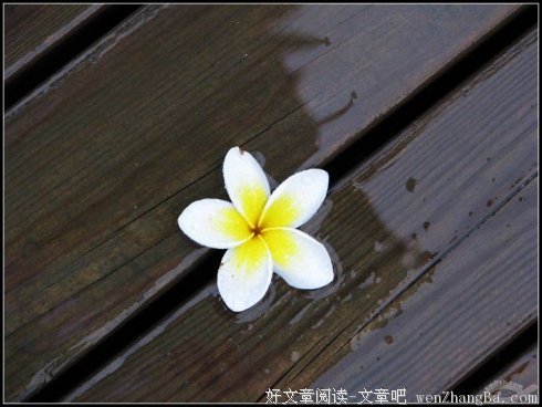 习惯总是极其有效的主人