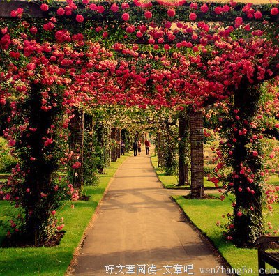 《人在欧洲》经典句子