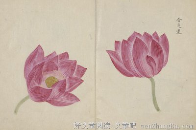 描写慈悲的经典句子